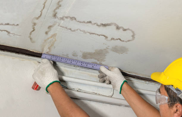 Reliable Mold Remediation contractor in Pflugerville, TX by Water Damage Irwin